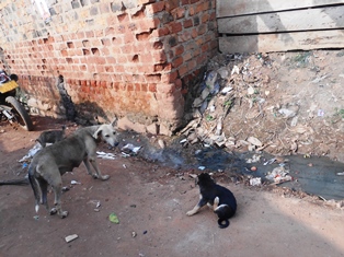 A dirty drainage area near where Janet, Mary, Margaret, little Juliet and Annette Birungi and her little ones stay